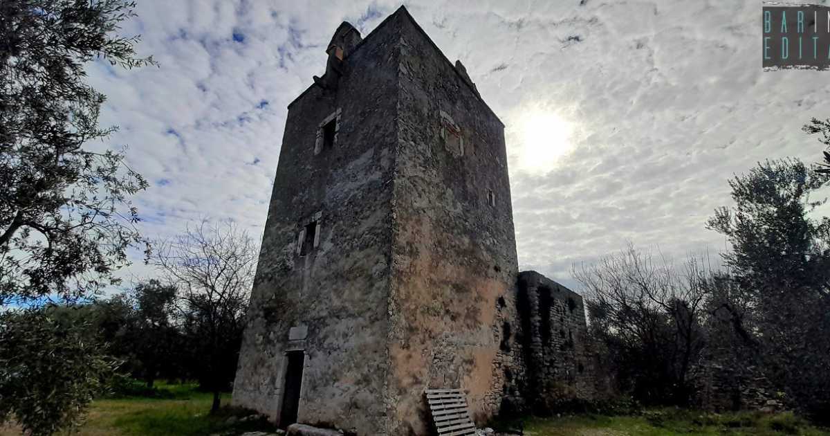Alte, fiabesche, nascoste e abbandonate: alla scoperta delle cento "torri" di Bisceglie